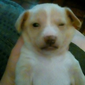 Meet your Posher, Sherry